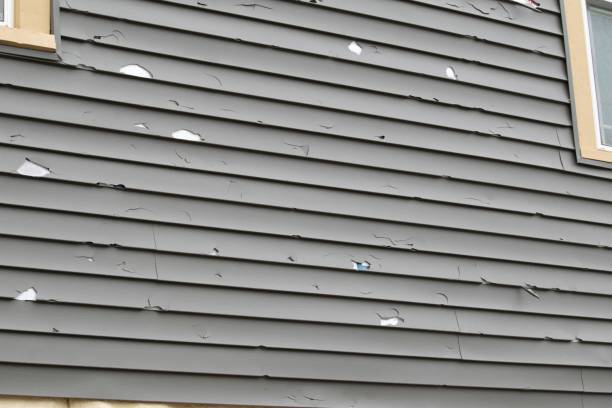 Affordable Siding Repair and Maintenance Services in Port Hadlock Irondale, WA