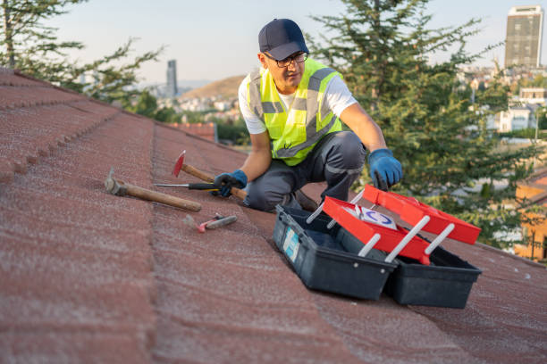 Best Siding Painting and Refinishing  in Port Hadlock Irondale, WA